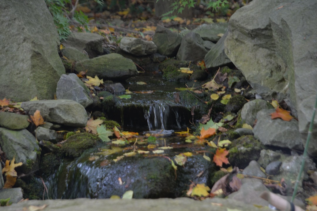 Quelle villa construire au Maroc a small waterfall surrounded by rocks and leaves